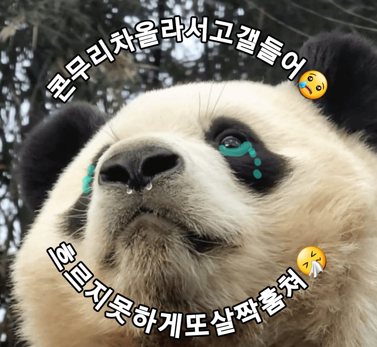 예시⁷_yeasyiet💜Fan of BTS tweet media