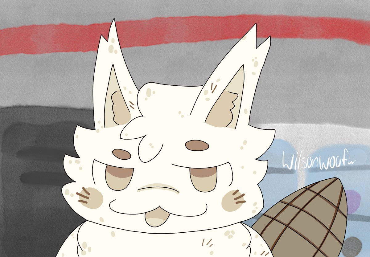 Wilson Woof tweet media