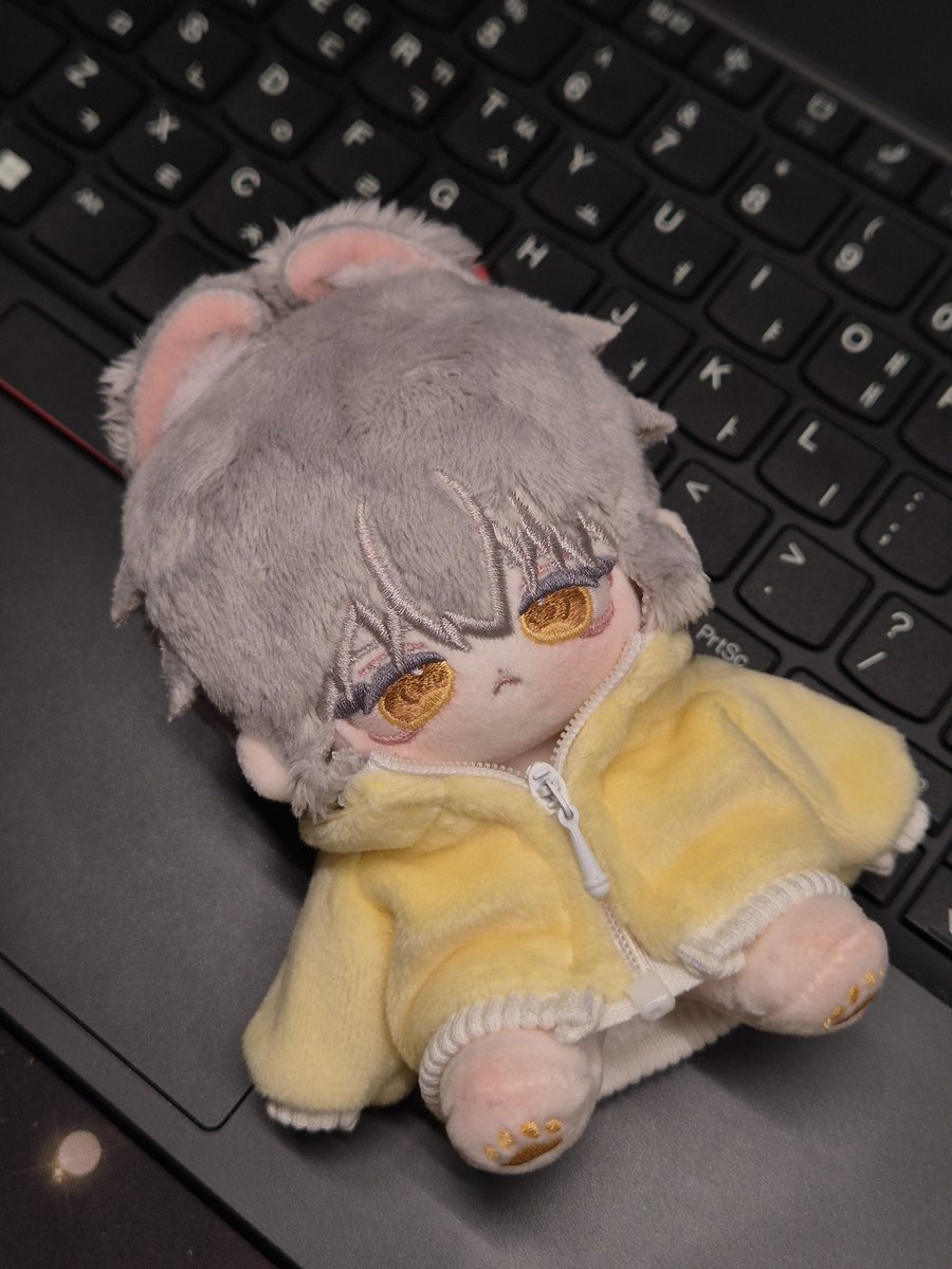 천랑🐺 tweet media