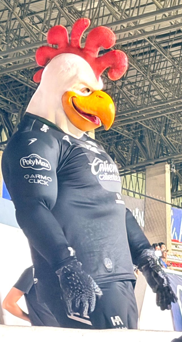 Ayer, Gallardo también estaba desconcertado con el final del partido, lo pude ver en sus ojitos 🥹🥲🫶🏻