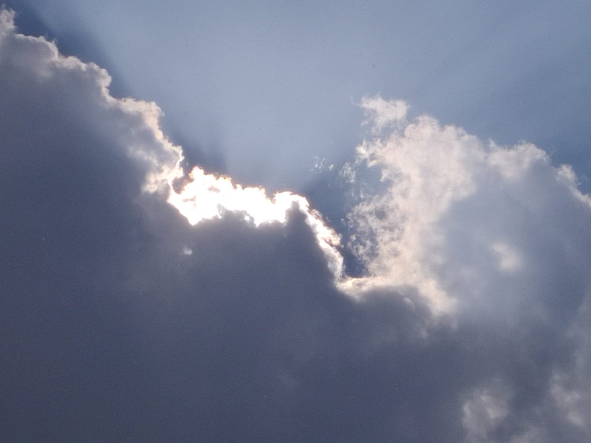 Kirti ִֶָ𓂃 ࣪˖ ִֶָ🐇་༘࿐ tweet media