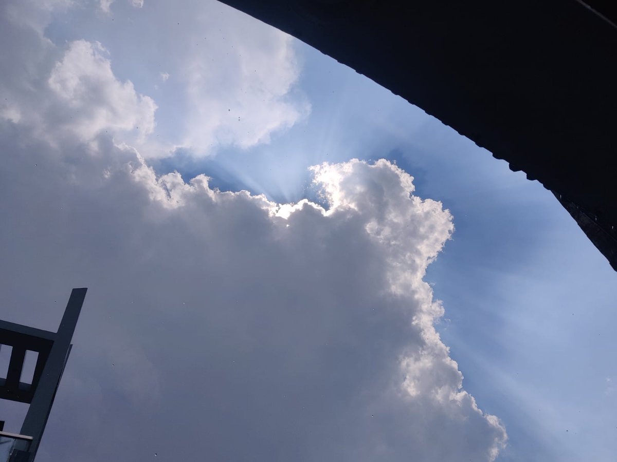 Kirti ִֶָ𓂃 ࣪˖ ִֶָ🐇་༘࿐ tweet media