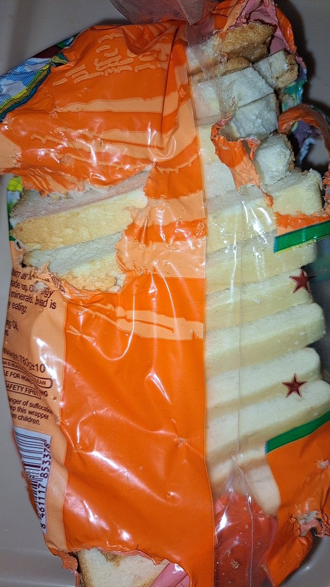 sehar🌸✨️ tweet media