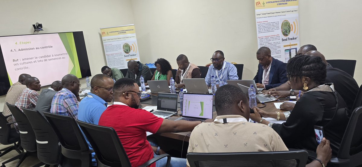 Clerisse Casinga tweet media