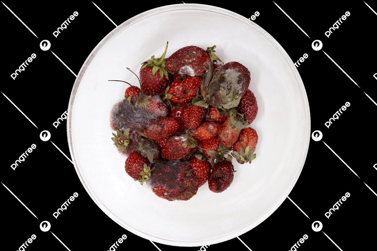 2. OGS Dönemi tweet media