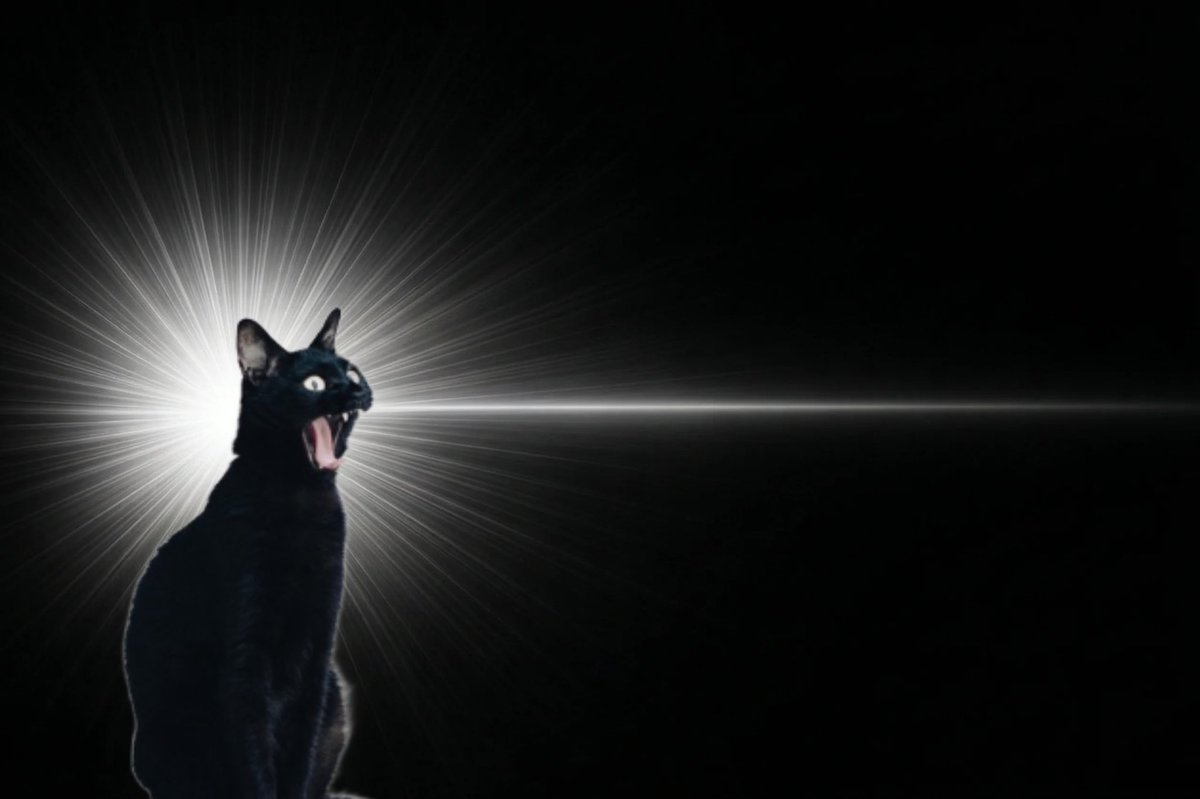 ヒラエリ🌜🌞🌛 tweet media