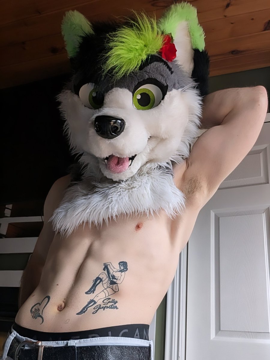 💚𝐅𝐢𝐫𝐞𝐟𝐥𝐲 𝐖𝐨𝐥𝐟𝐲~ 🔜AC tweet media