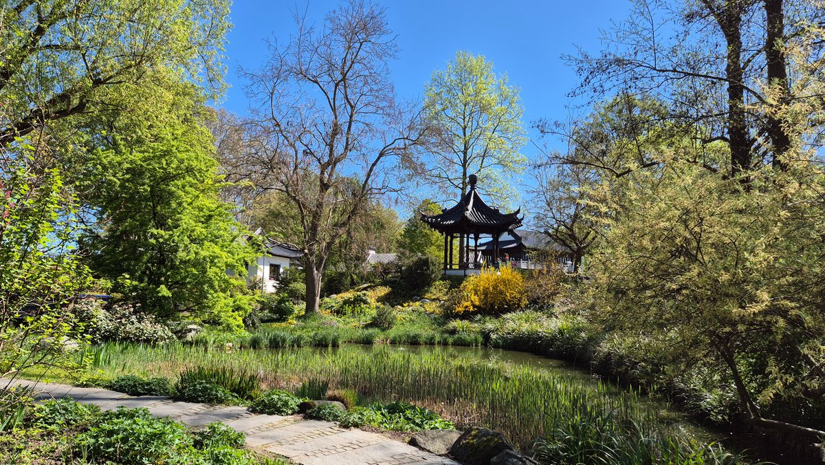 ~🌸 Träumerin 🌸~ tweet media