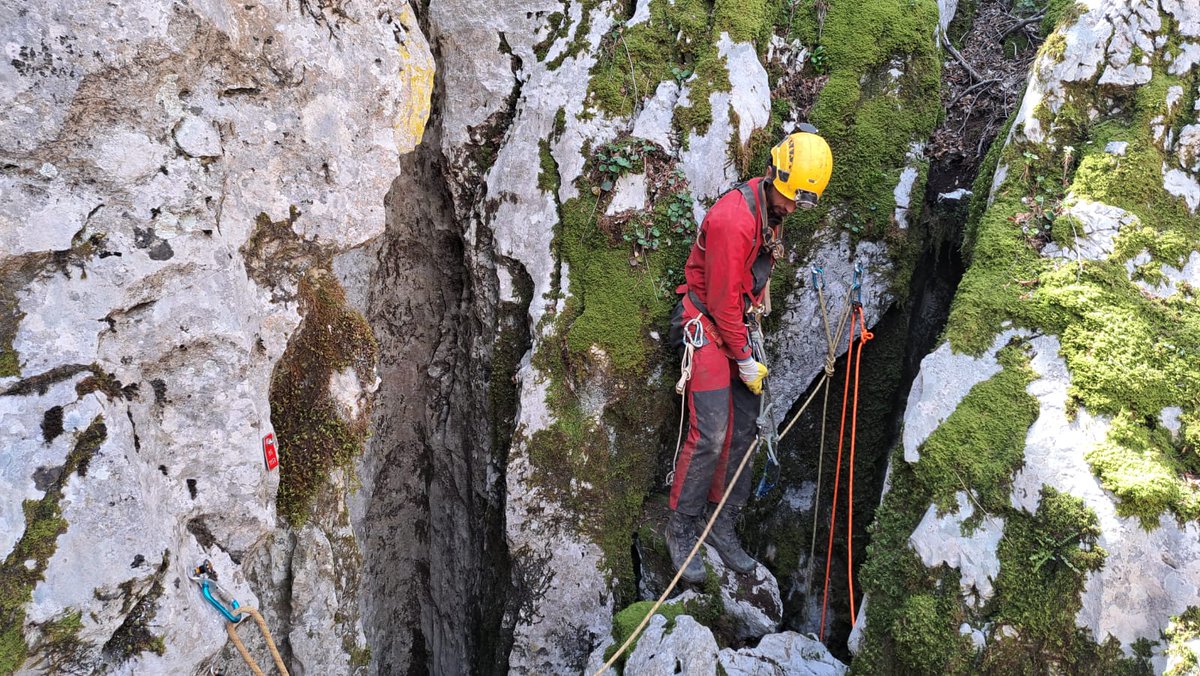 Tomo Medved tweet media