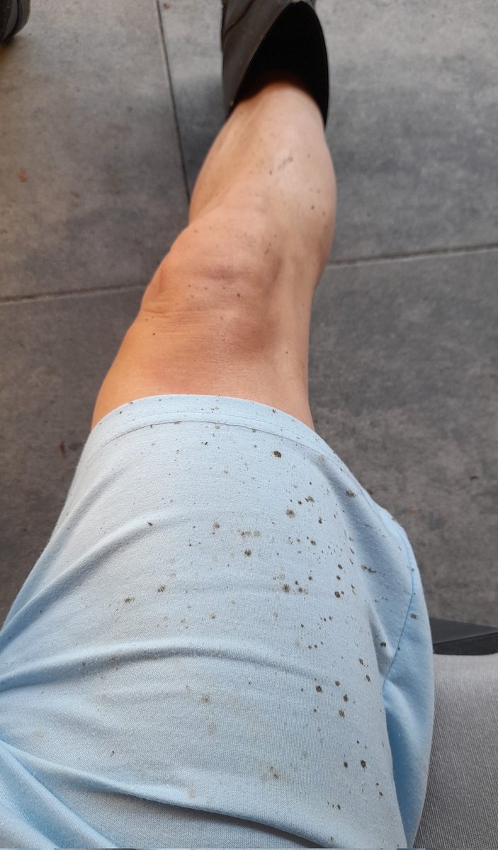 Witte Broek tweet media