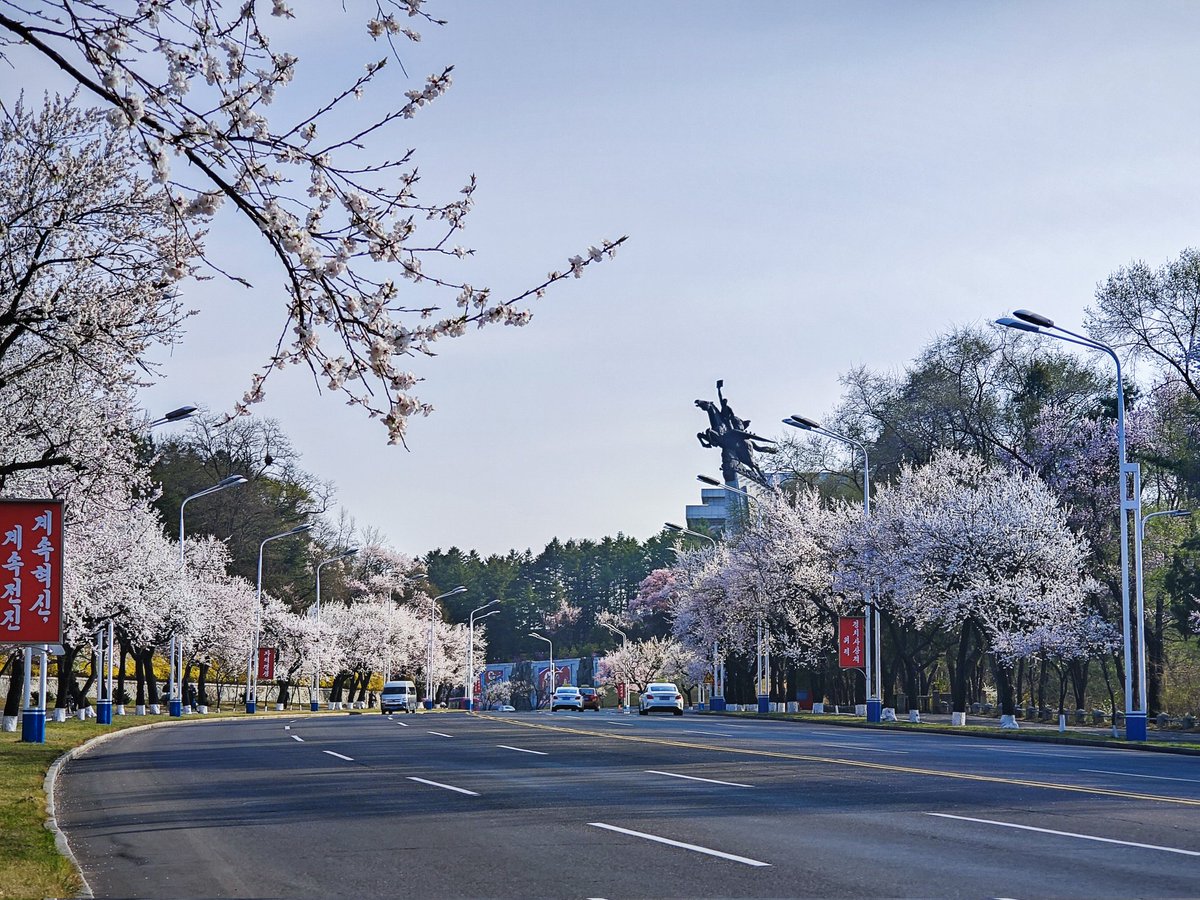 Sally Yin 🍒 tweet media