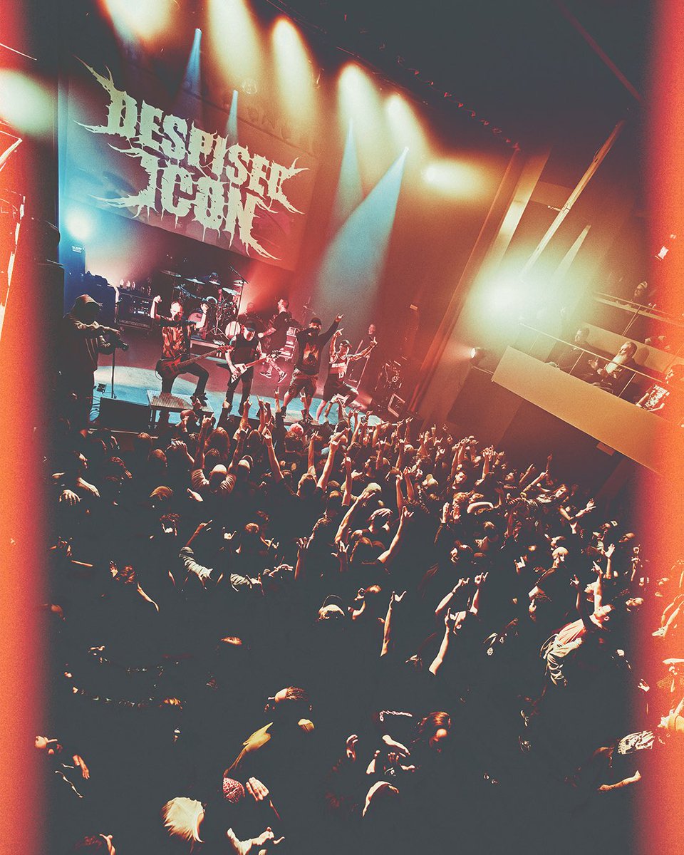 Despised Icon tweet media