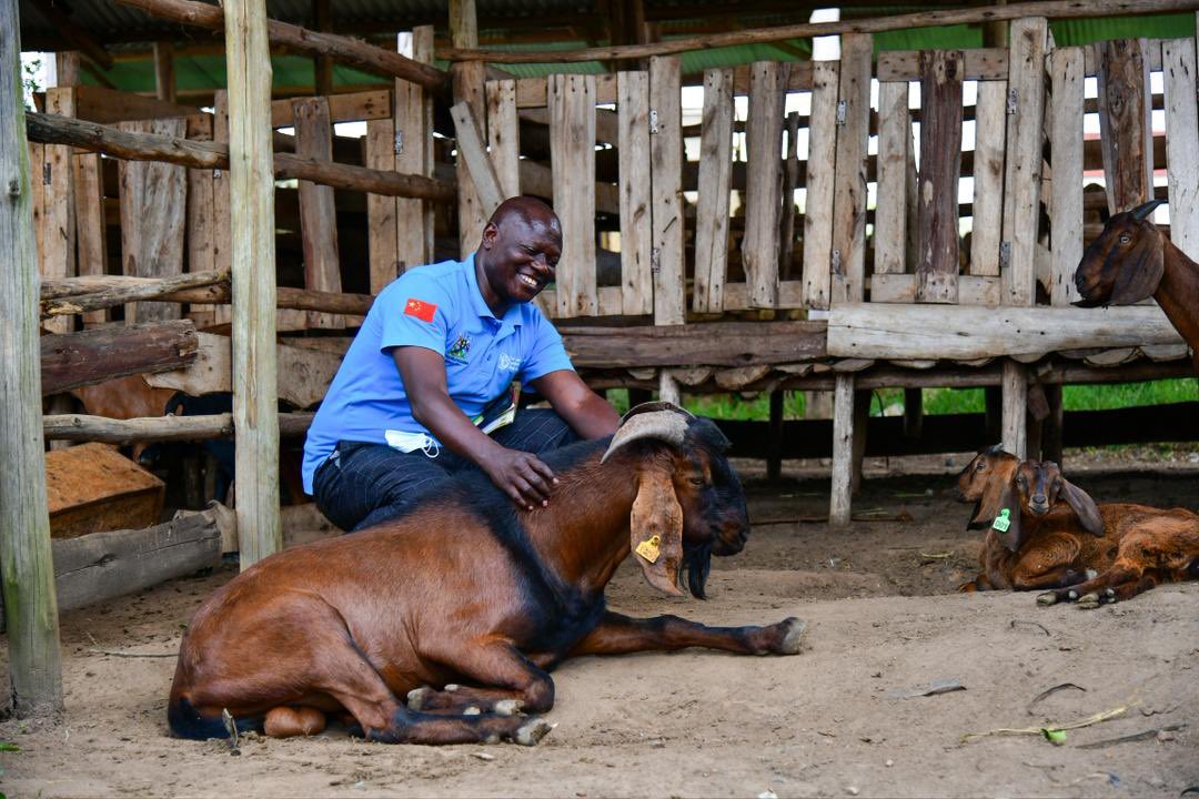 FAO in Uganda tweet media