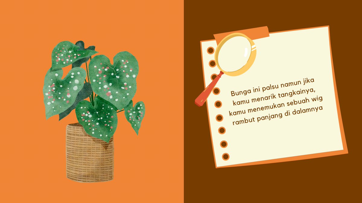 [you checked the plant and you found something]