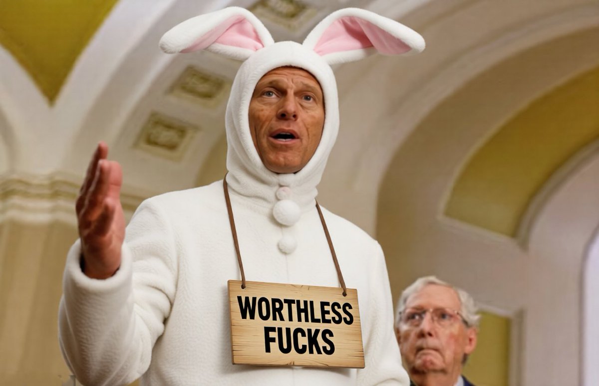 Beachguy904 tweet media