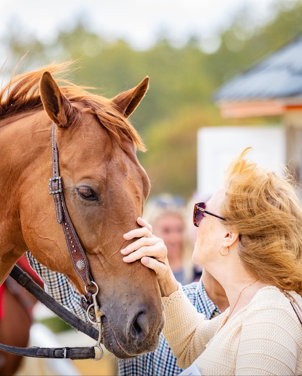 The Maryland Jockey Club, Inc. tweet media
