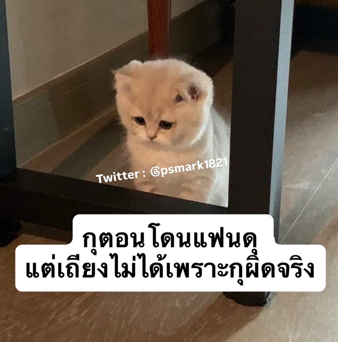ช่างแม่ง🐰🏳️‍🌈 tweet media