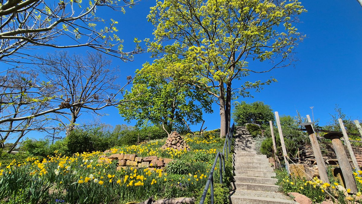 ~🌸 Träumerin 🌸~ tweet media