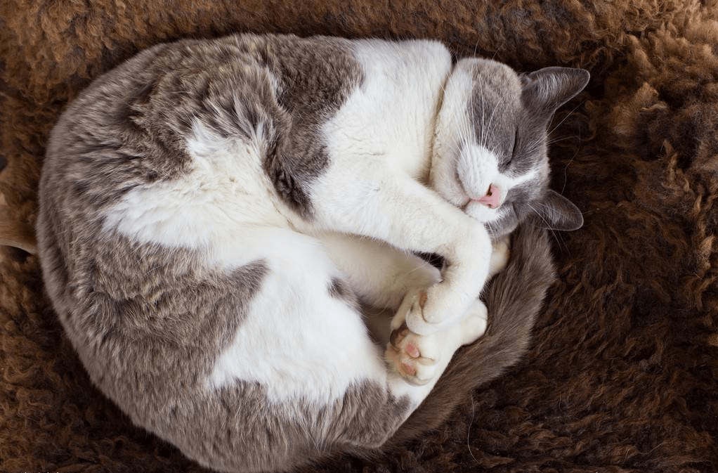 Things I Overhear tweet media