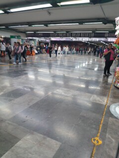 Varella Patricia tweet media