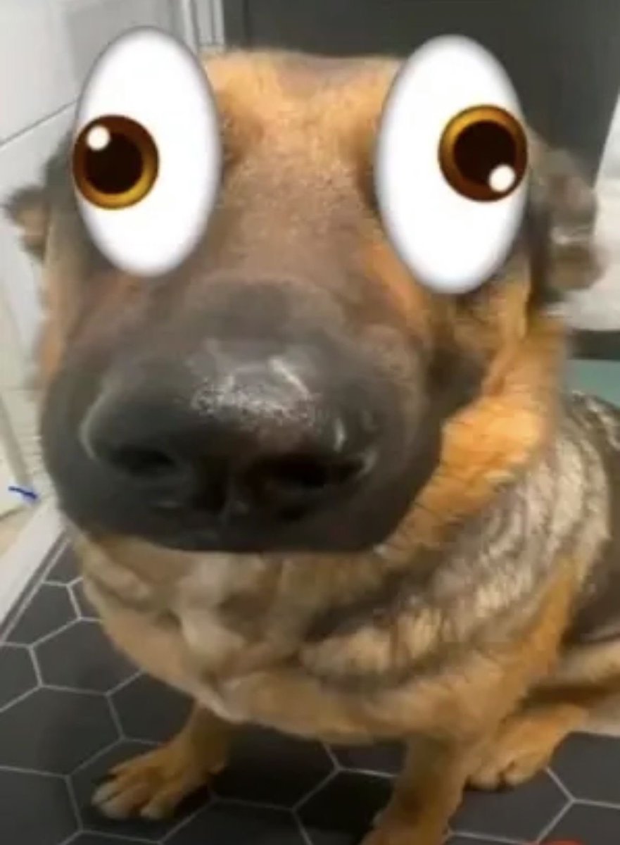 Timely arvo tweet media