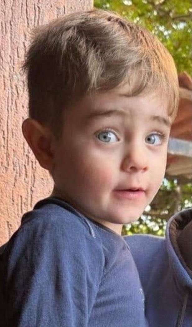 LebyNews tweet media