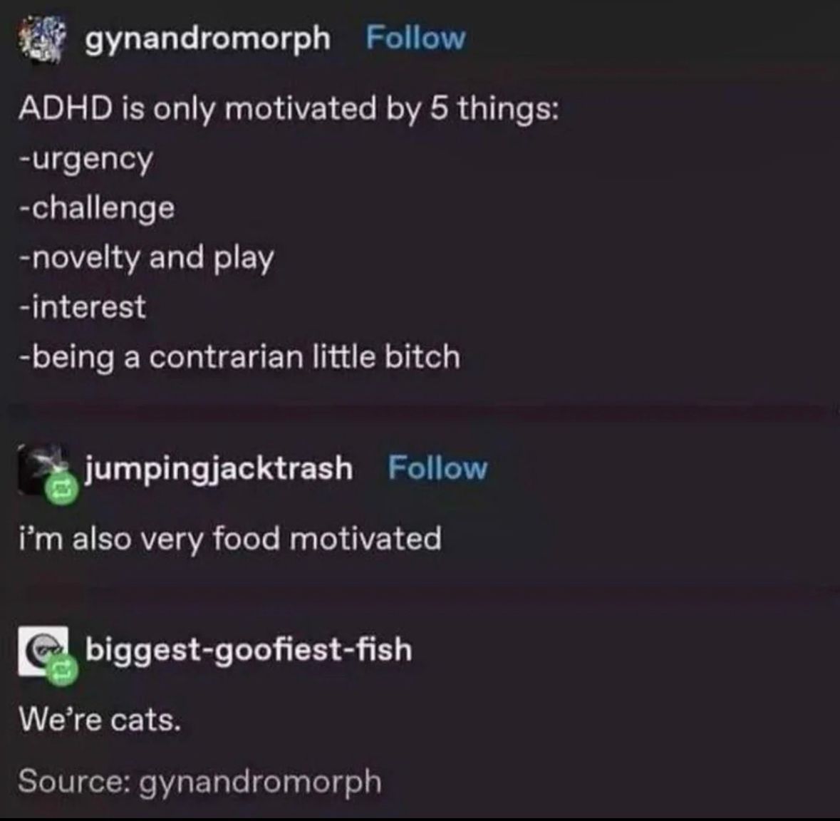 ADHD Memes tweet media