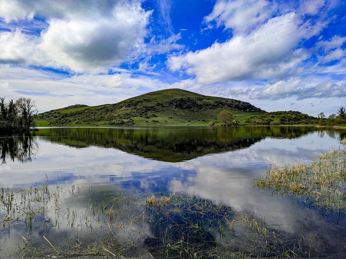 Ams_WS's tweet image. What a day! #limerick