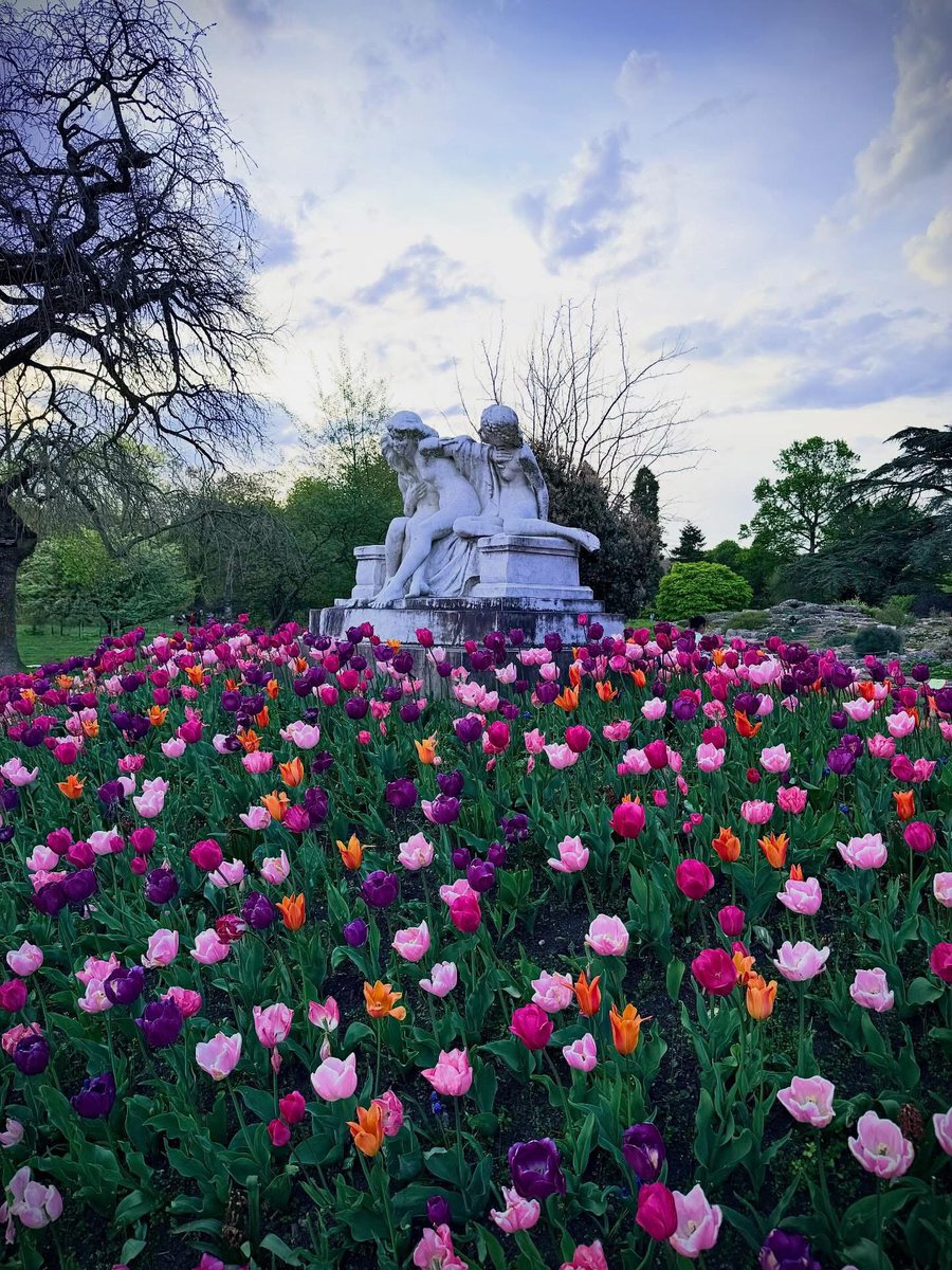 veritebeaute's tweet image. "Un seul regard sur les tulipes et je me sens ragaillardi." C. Bobin
Parc de la Tête d'Or, 2026. 
#I♥️LYON