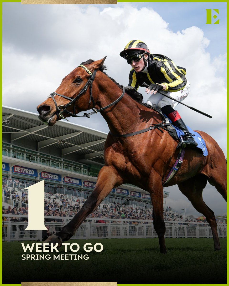 Epsom Downs Racecourse tweet media