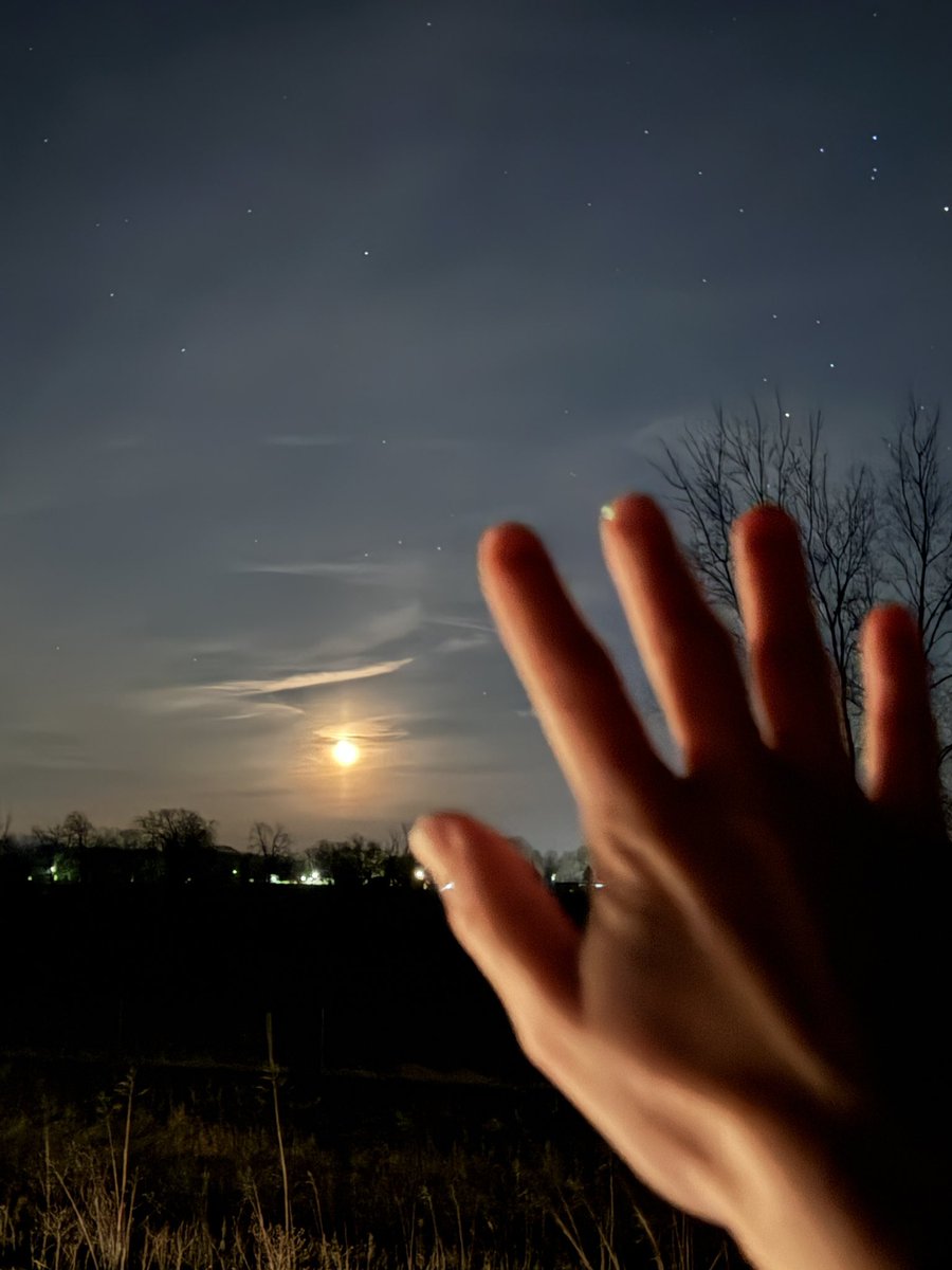 Meteorologist Katie Nickolaou tweet media