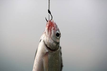 Leackin Munane tweet media