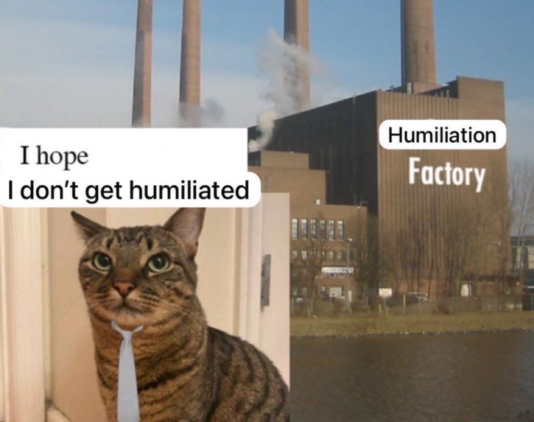 lyra 🌧️⚾ tweet media