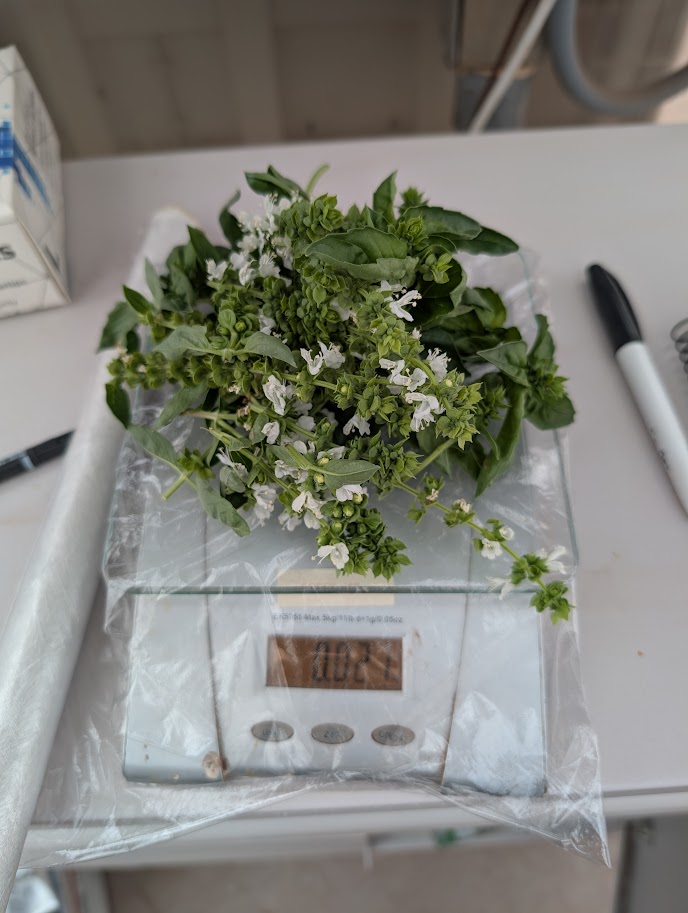 TheMarsSociety's tweet image. Crew 333—students from UC Louvain 🇧🇪—wrapped up an impressive #MDRS mission in Utah, conducting EVAs, testing experiments &amp;amp; thriving in a Mars-like environment. Science, teamwork &amp;amp; resilience on full display. #marsanalog #utah #themarssociety #stem #crewtraining @UCLouvain