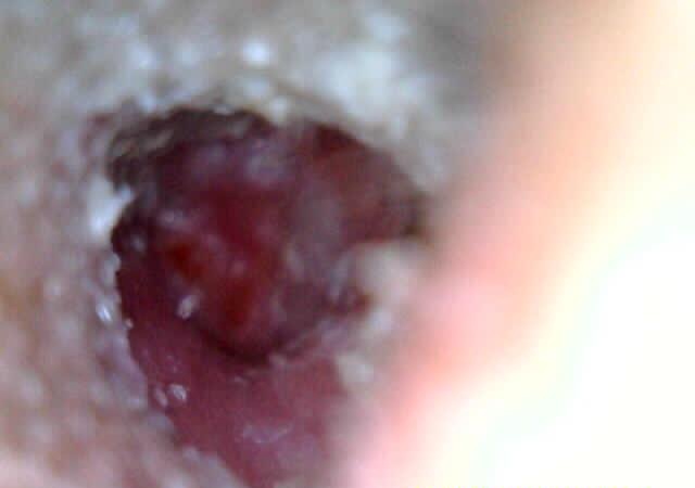 Arc ola more tweet media