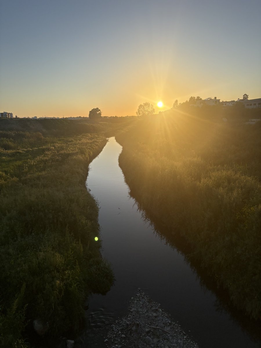 özlemm75 tweet media