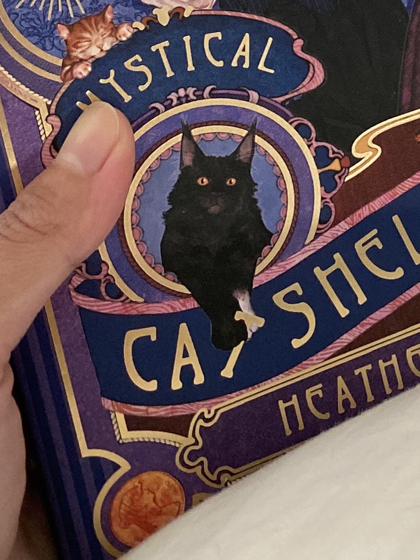 Dins🪻 tweet media