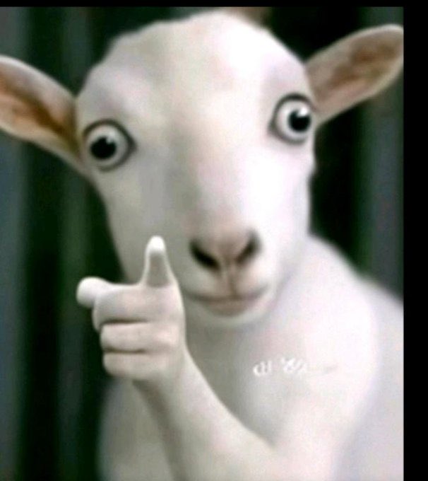 Phoenix - フェニックス tweet media