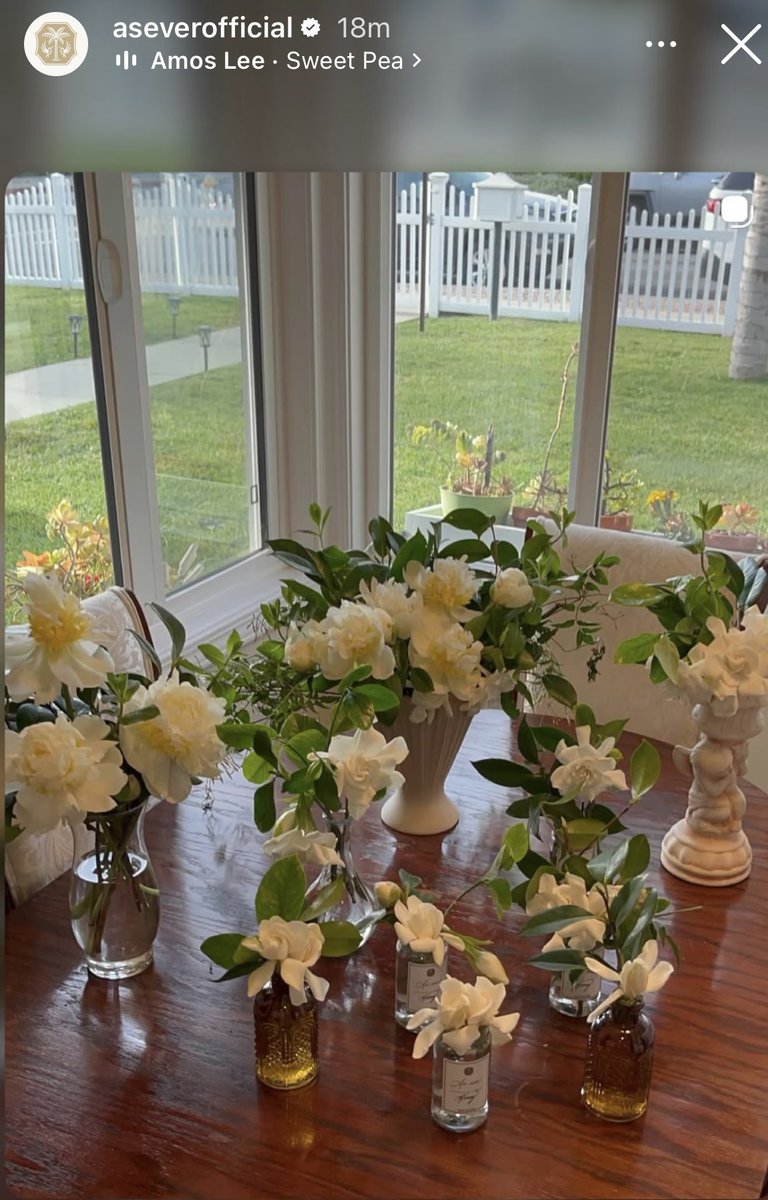 Nancy Sidley tweet media