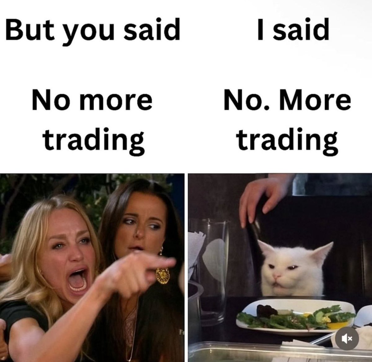 Trader Theory tweet media