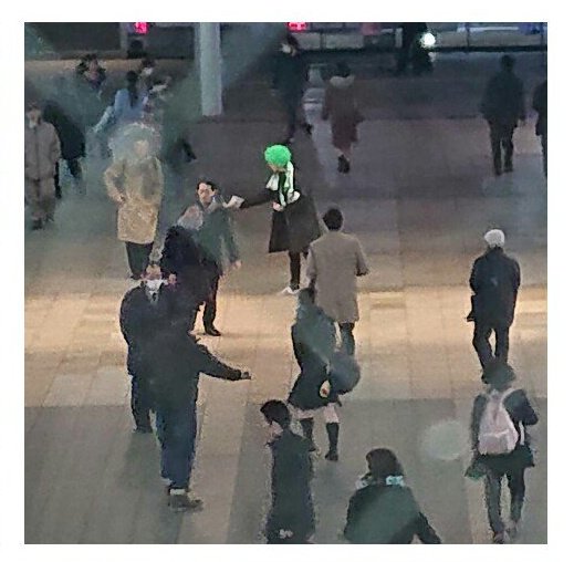 pura🦖 tweet media