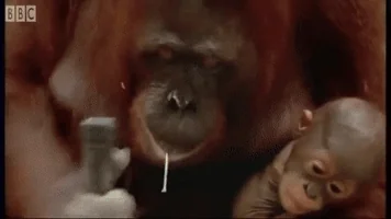 SuspendedCap tweet media