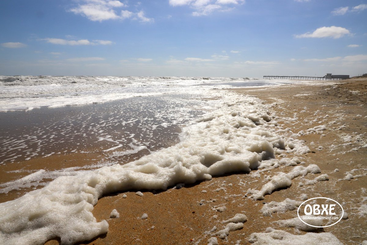 OBX Entertainment tweet media