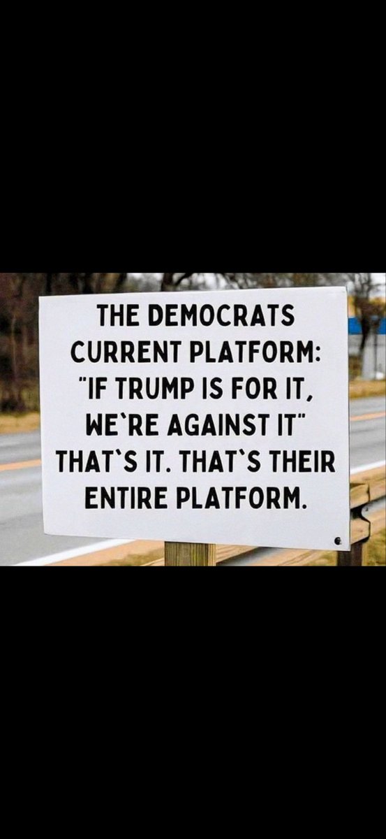 Primrose tweet media