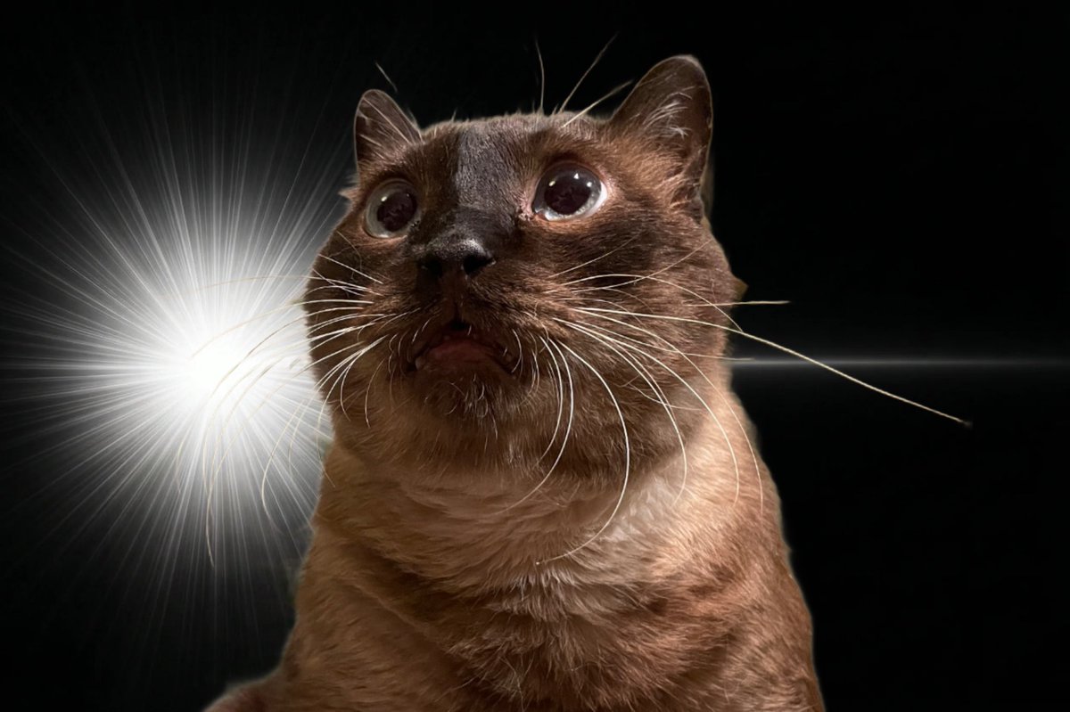 MAX【メイン】 tweet media