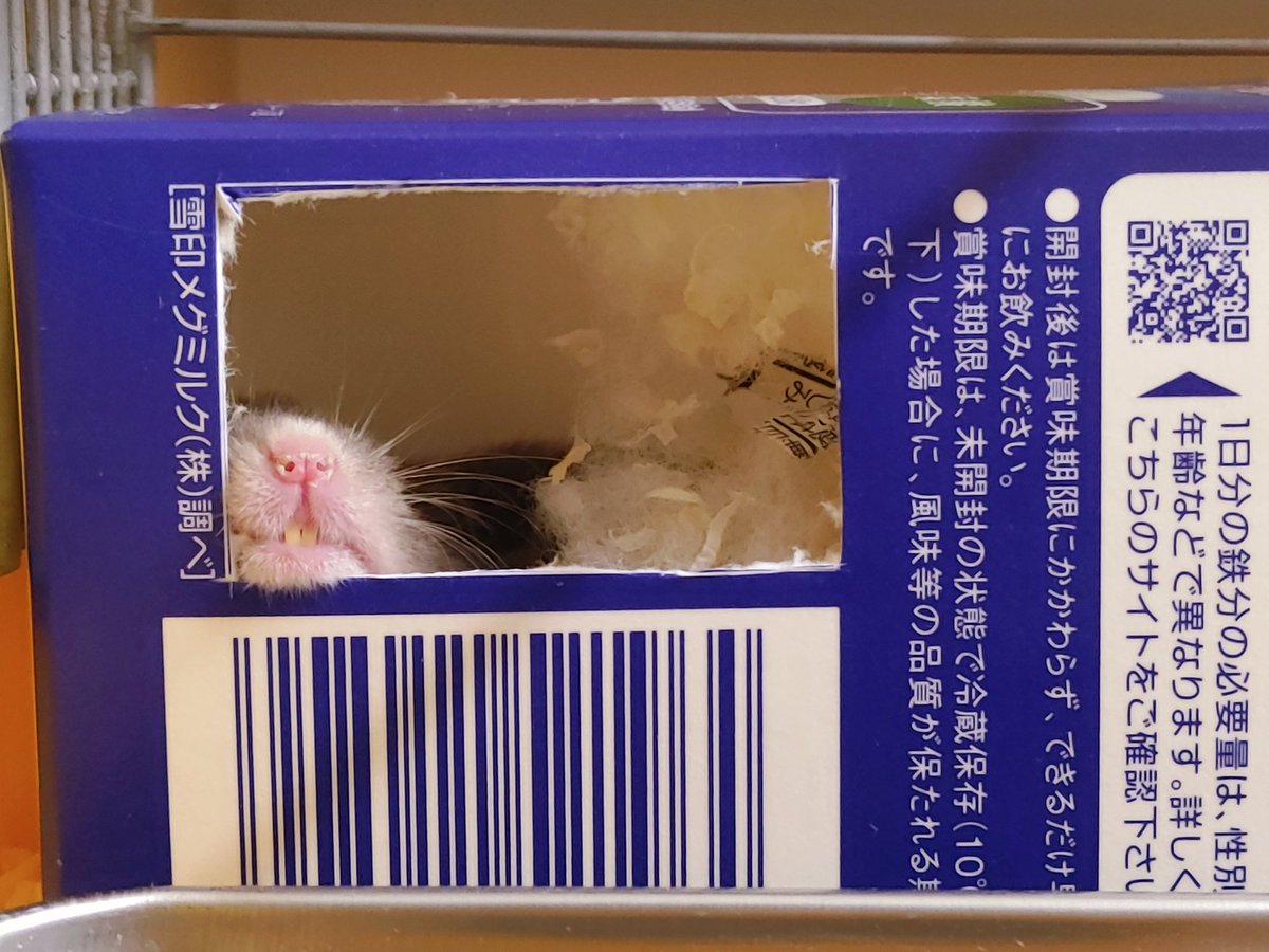 トバリ🧻 tweet media