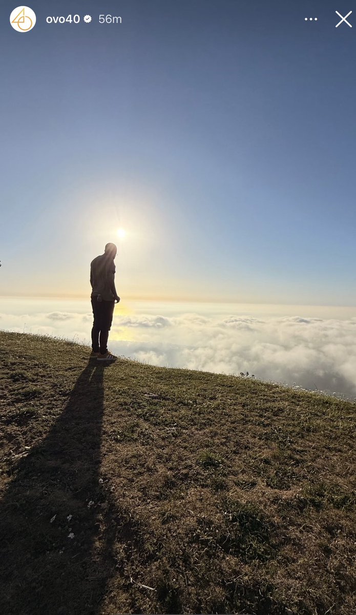 Night Owls tweet media