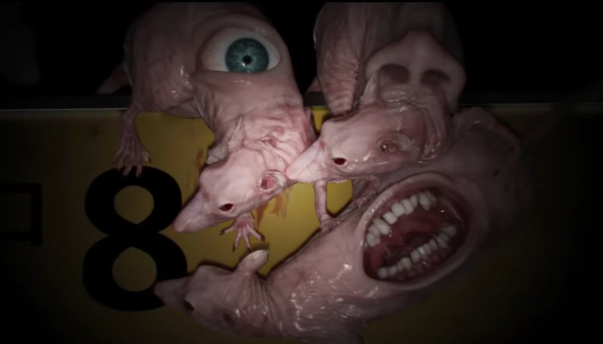 BDisgusting's tweet photo. Do not overlook any anomalies.

If you find an anomaly, turn back immediately.

If you do not find any anomalies, do not turn back. https://t.co/s6HxQl8J0O