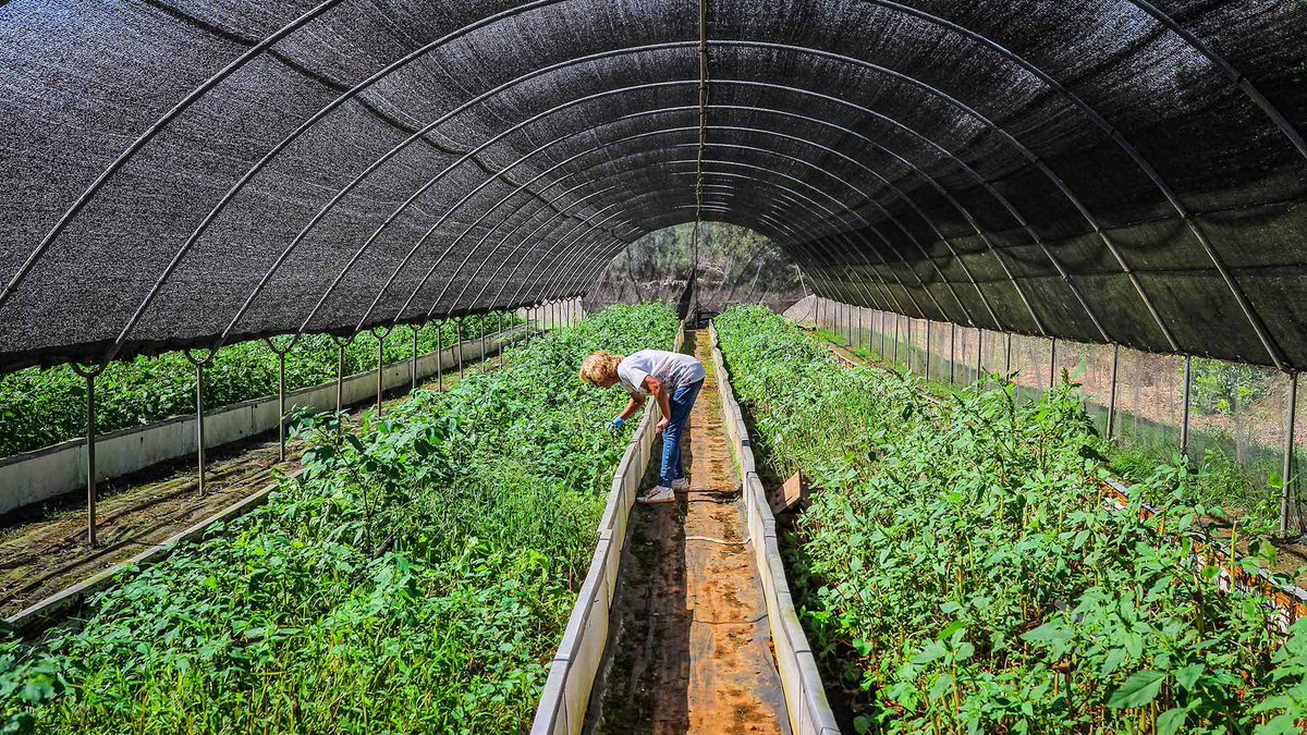 Balearische Inseln tweet media