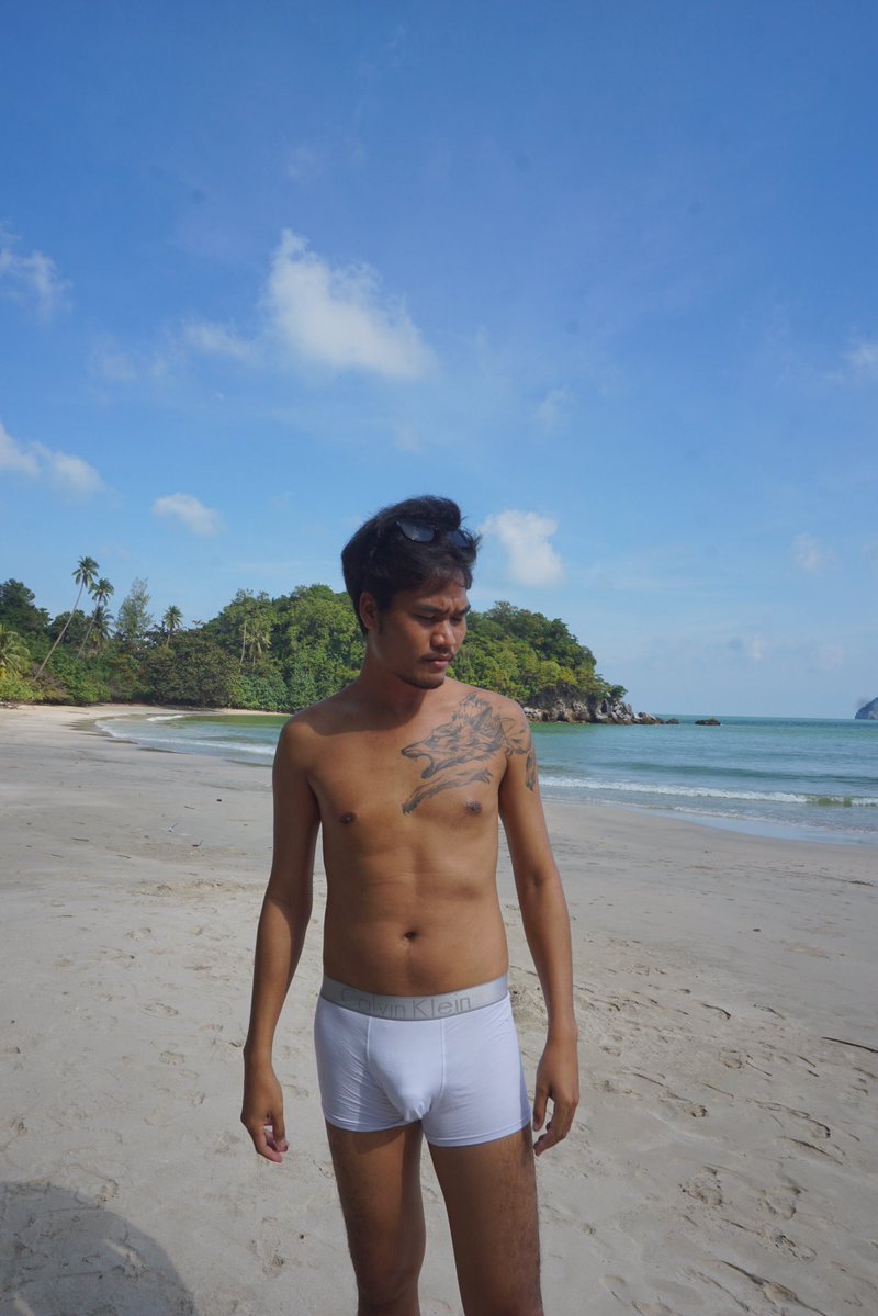 หมาป่า 🦊 tweet media